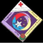 RED CROSS 2006 ROSE PARADE PIN  DX